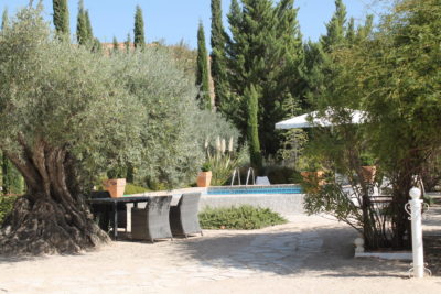 Los Mofletes is located in an ancient olive yard, where you can relax, cool down in the pool or just enjoy the beautiful garden and its tranquility.