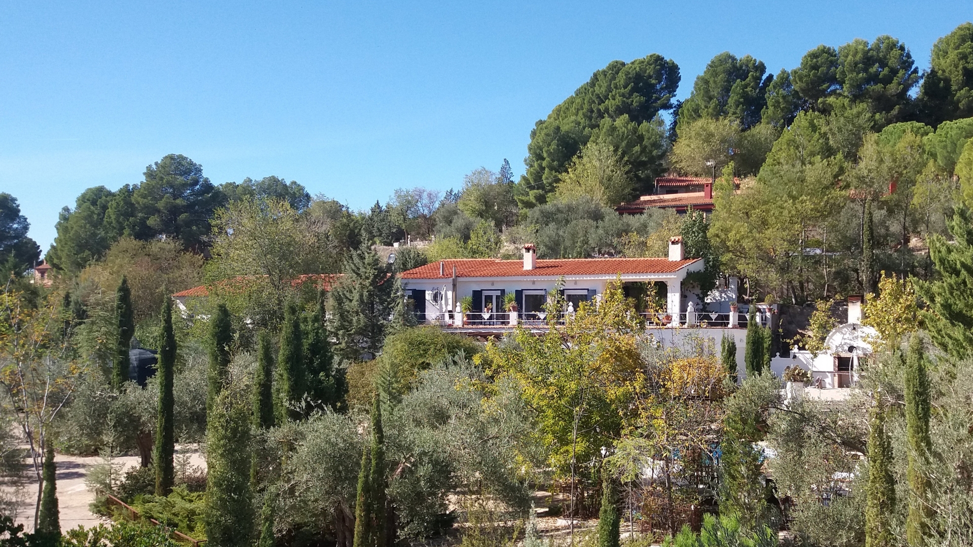 De tuin van Los Mofletes - eeuwenoude olijfboomgaard